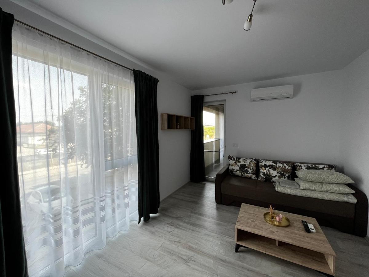 Apartament Modern Cu O Camera Apartment Timisoara Exterior photo